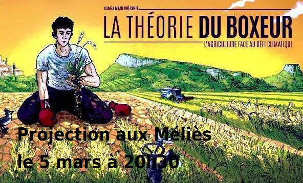 affiche Theorie du Boxeur